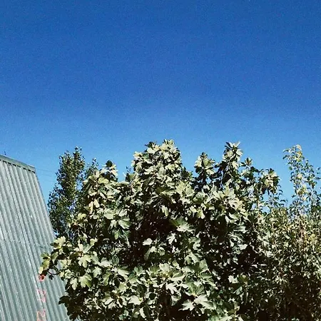 木屋 Jakuzili, Lueks Ve Korunakli Ahsap Bungalov. 费特希耶